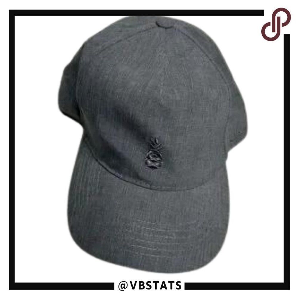 Chubbies Gray Pineapple Ball Cap - One size‎